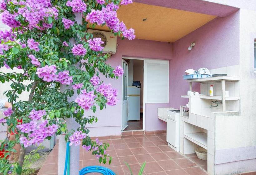 پانسیون Shkreli Apartments