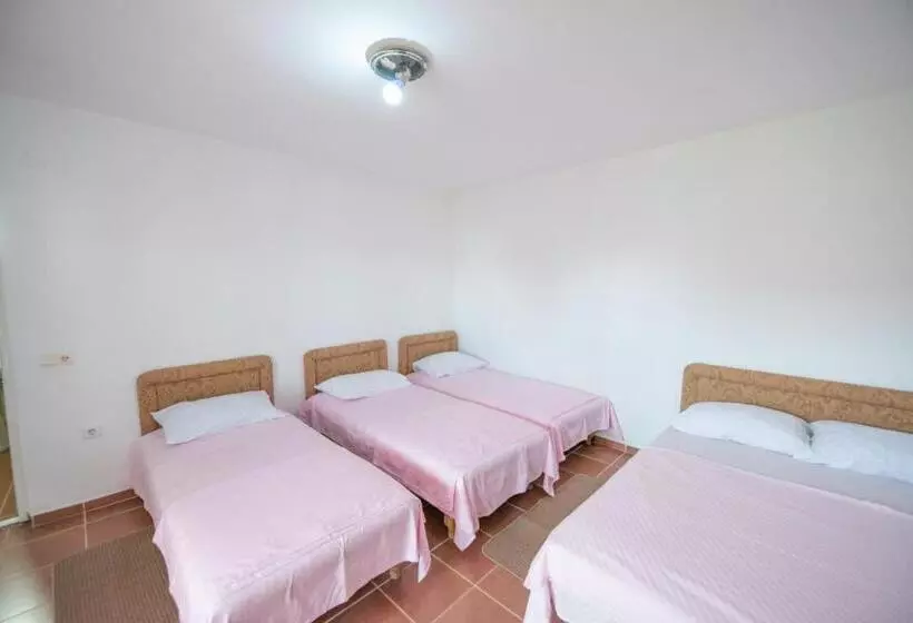 پانسیون Shkreli Apartments
