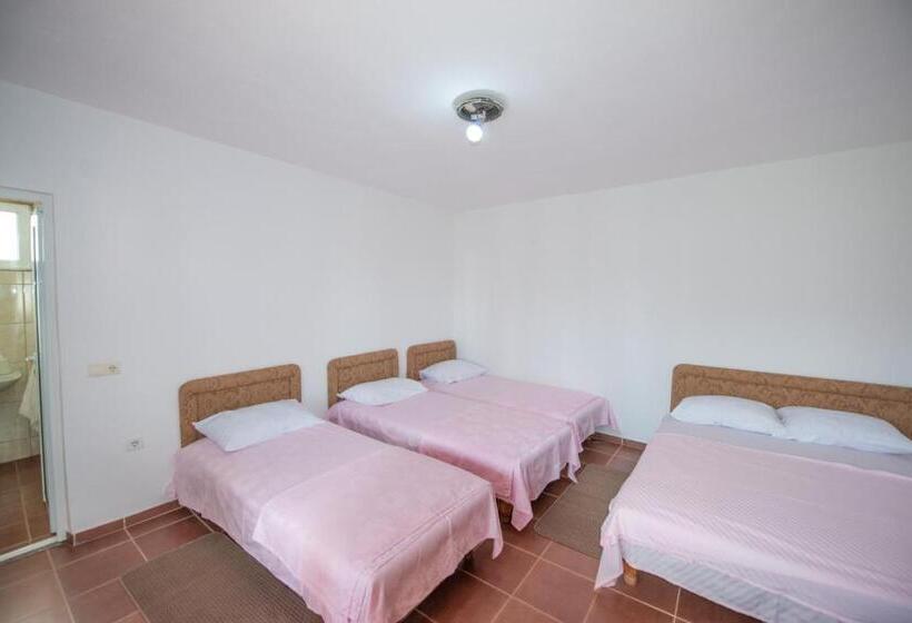 پانسیون Shkreli Apartments