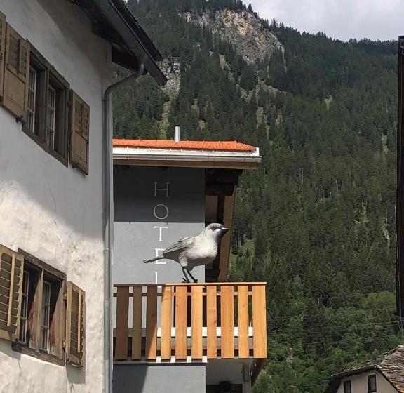 Appart Hotel Pitschonia Self Check In