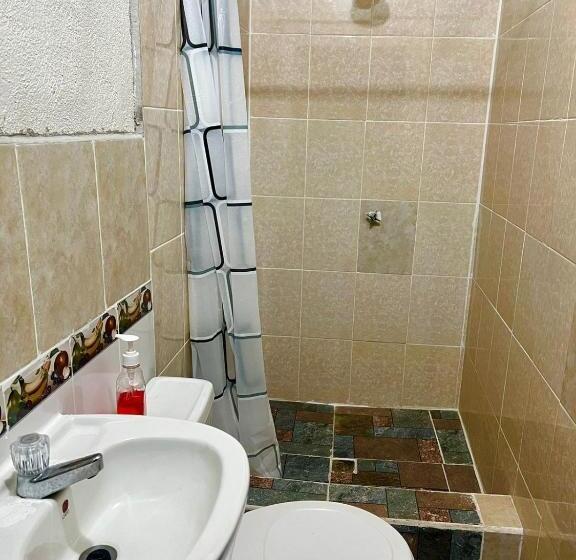 هاستل Welcome To Wonderland!