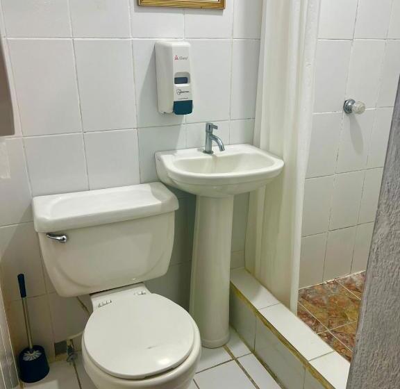 هاستل Welcome To Wonderland!