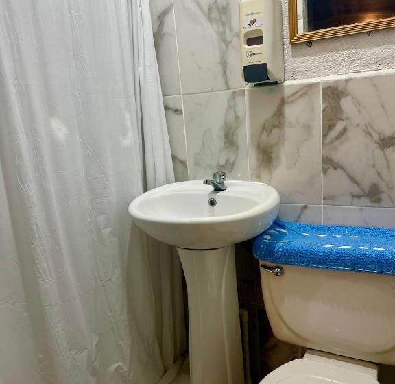 هاستل Welcome To Wonderland!