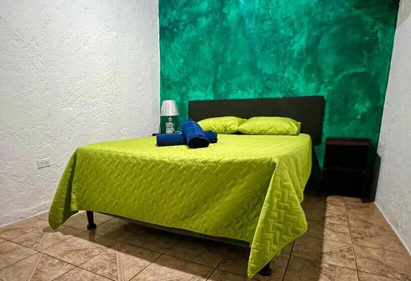 هاستل Welcome To Wonderland!