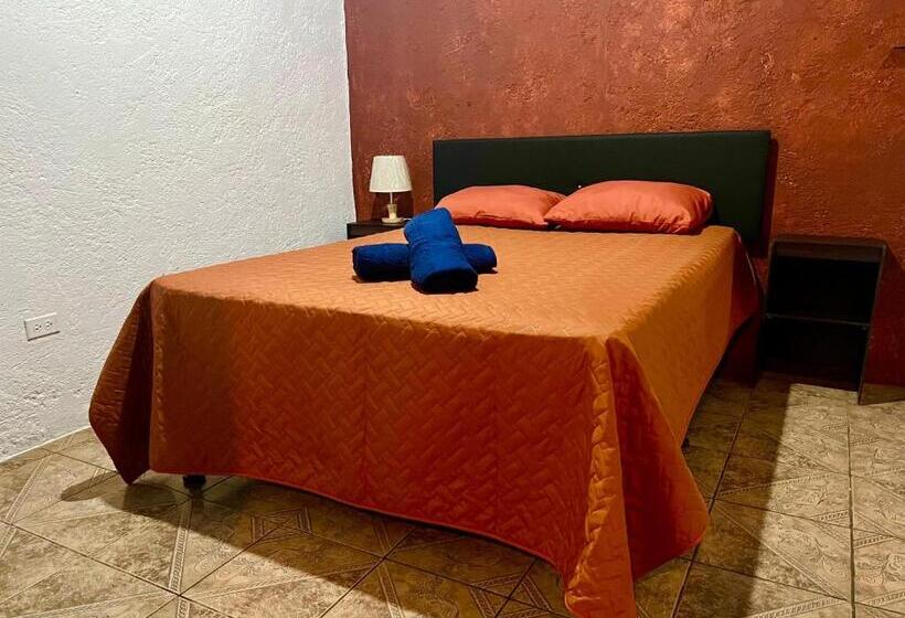 هاستل Welcome To Wonderland!