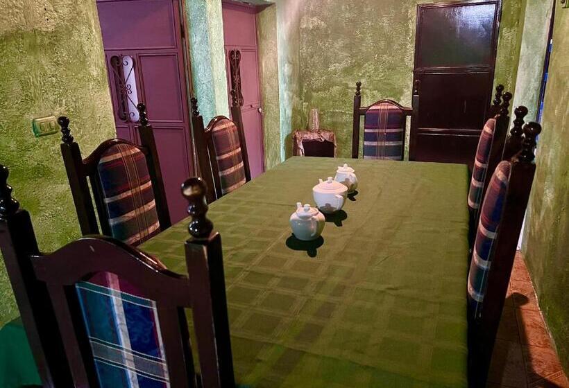 هاستل Welcome To Wonderland!