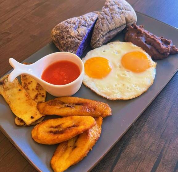 هاستل Welcome To Wonderland!