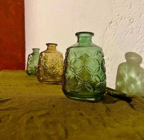 هاستل Welcome To Wonderland!