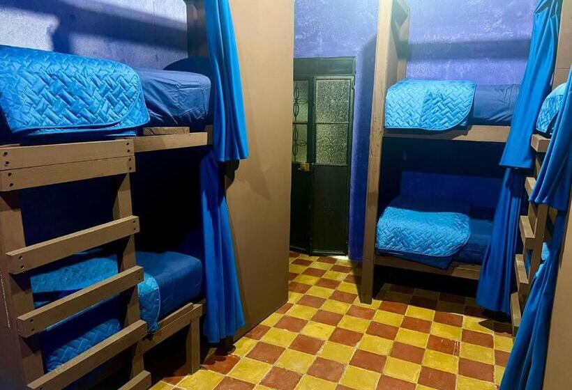 هاستل Welcome To Wonderland!