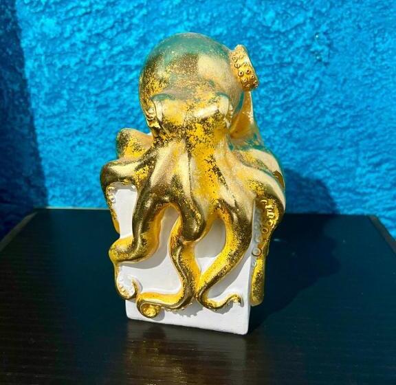 هاستل Welcome To Wonderland!