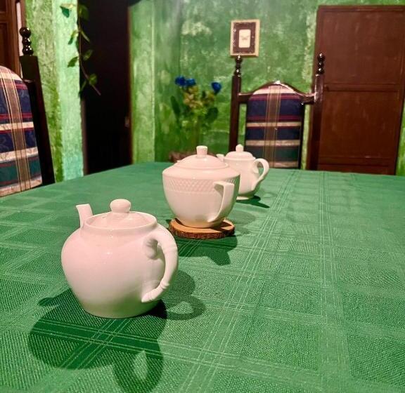 هاستل Welcome To Wonderland!