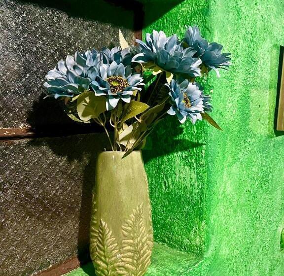 هاستل Welcome To Wonderland!