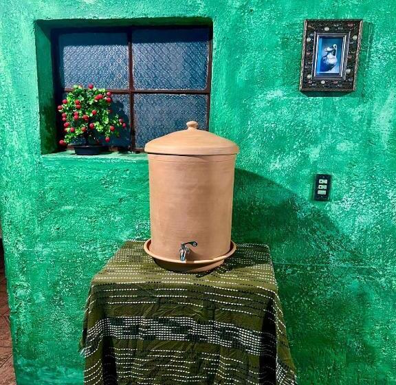 هاستل Welcome To Wonderland!