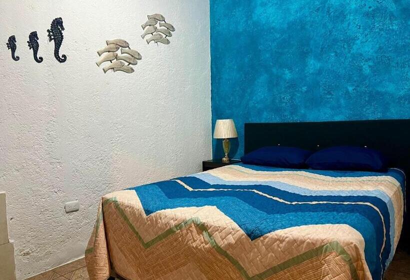 هاستل Welcome To Wonderland!