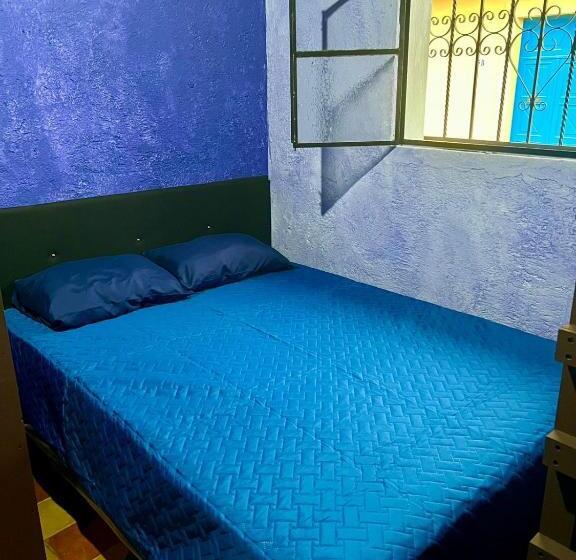 هاستل Welcome To Wonderland!