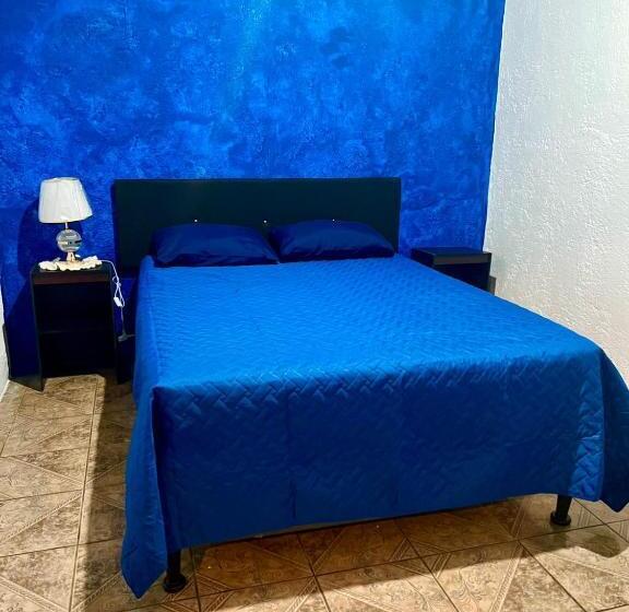 هاستل Welcome To Wonderland!