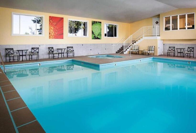 ホテル Comfort Inn & Suites