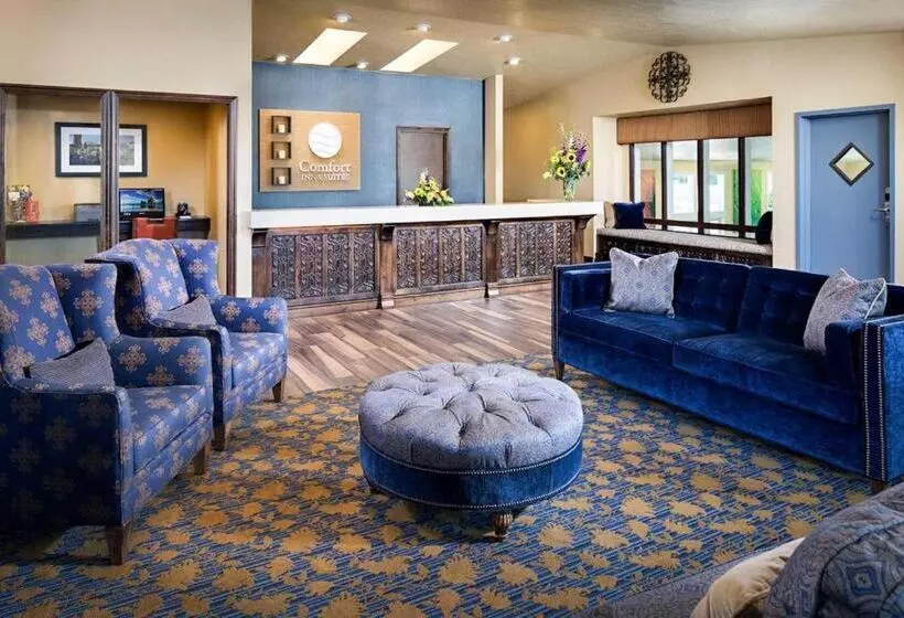 ホテル Comfort Inn & Suites