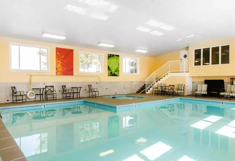 ホテル Comfort Inn & Suites