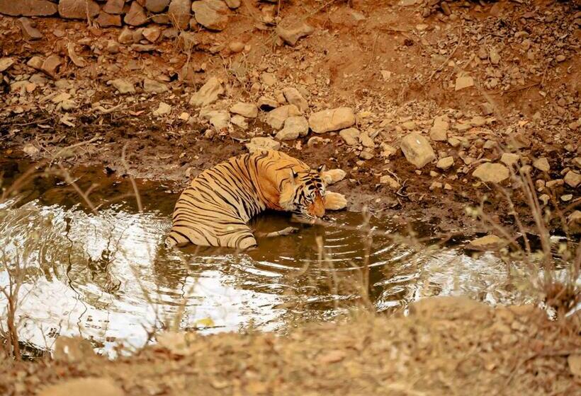 Hotel Moustache Ranthambore Luxuria