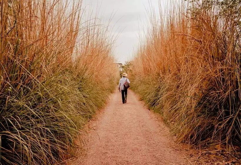 Hotelli Moustache Ranthambore Luxuria