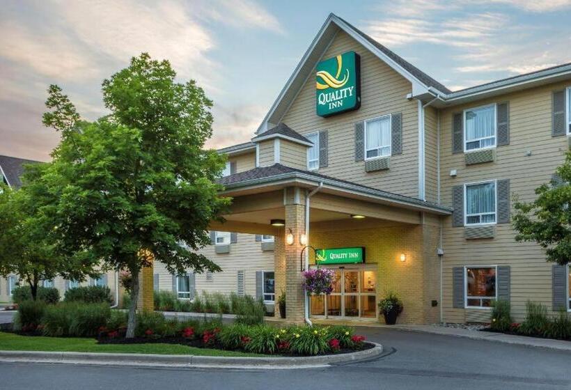 Отель Quality Inn Airport