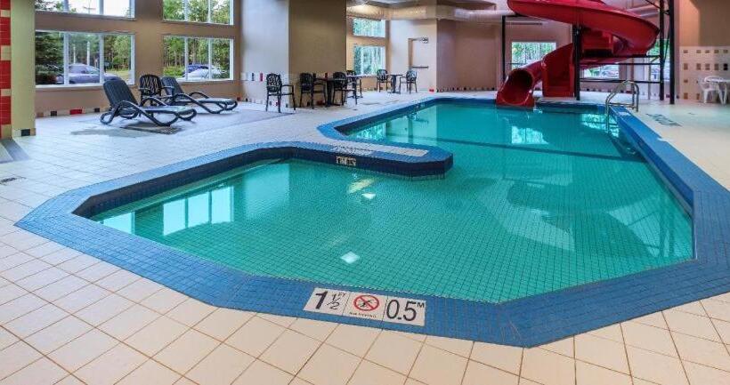 Отель Quality Inn Airport