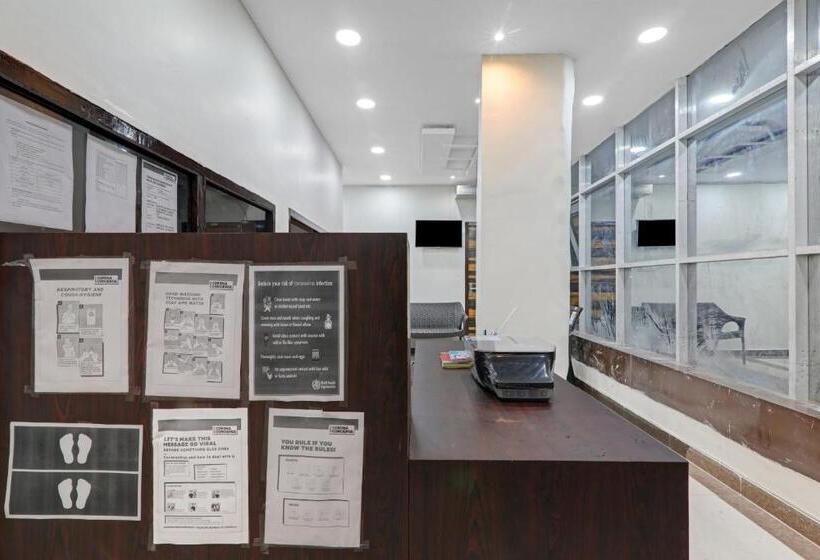 酒店 Super Collection O Oyo Townhouse Lemonade Shyam Nagar