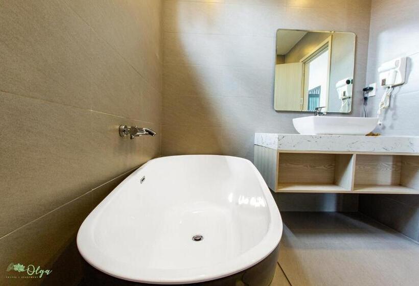 酒店 Olga Apartments