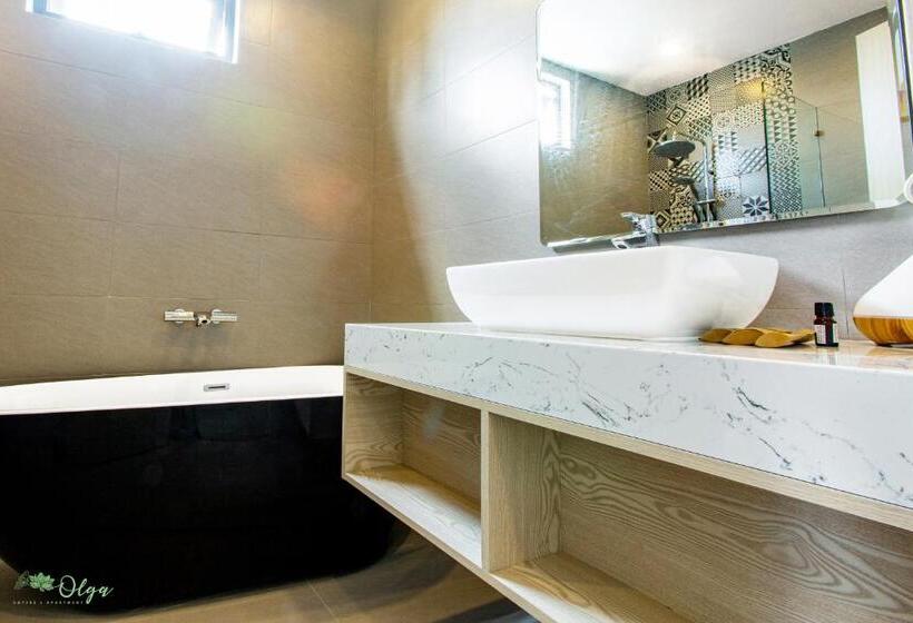 酒店 Olga Apartments