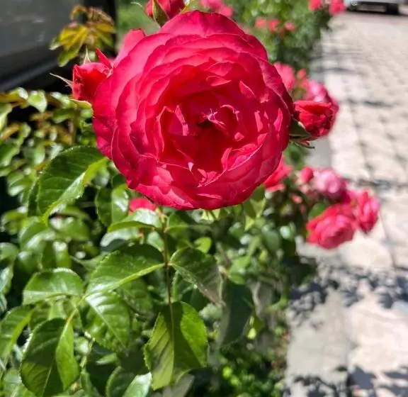 ペンション дом вдали от дома Sky Village