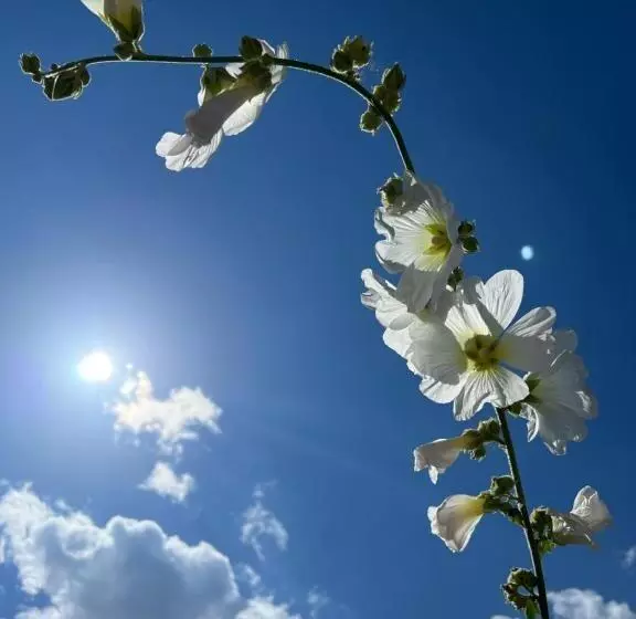 ペンション дом вдали от дома Sky Village