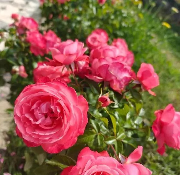 ペンション дом вдали от дома Sky Village