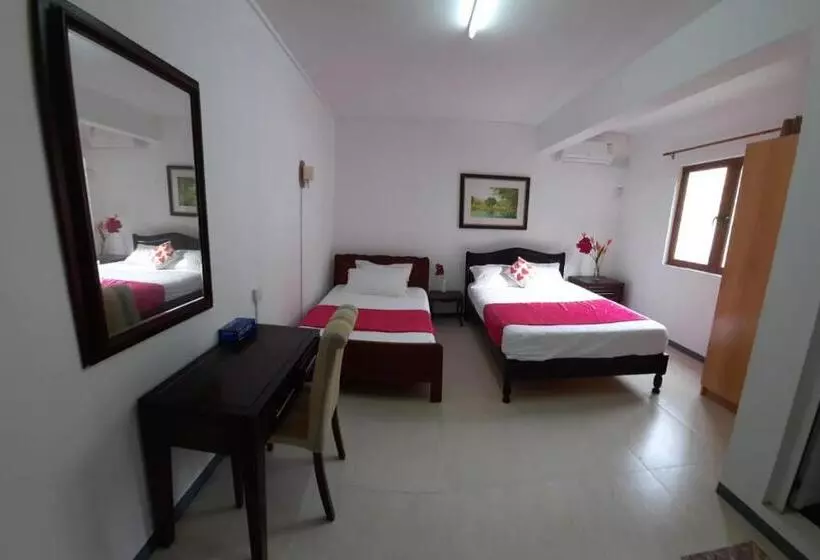 Citronella Villa Flic En Flac