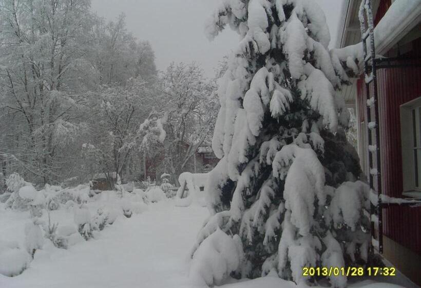 Aaria Bed And Breakfast