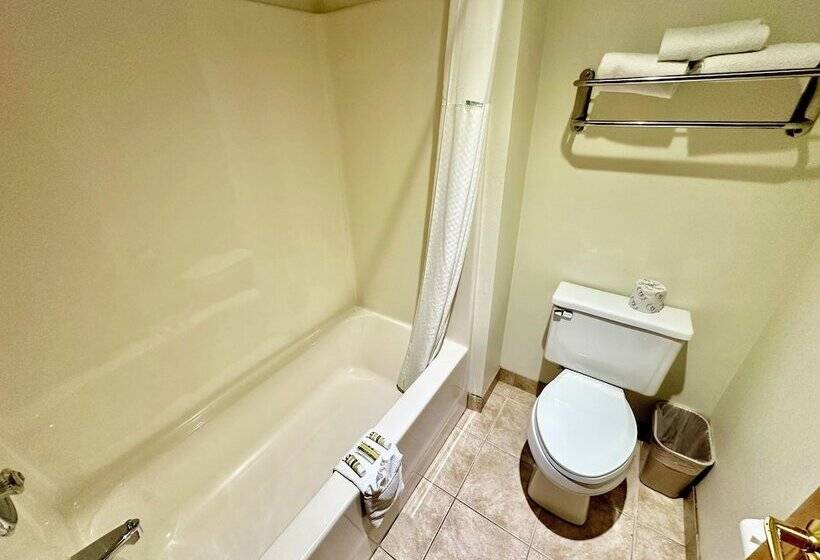 ユースホステル Rodeway Inn & Suites