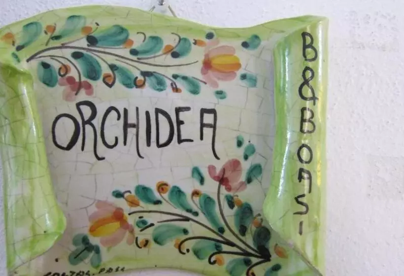 B&b Oasi