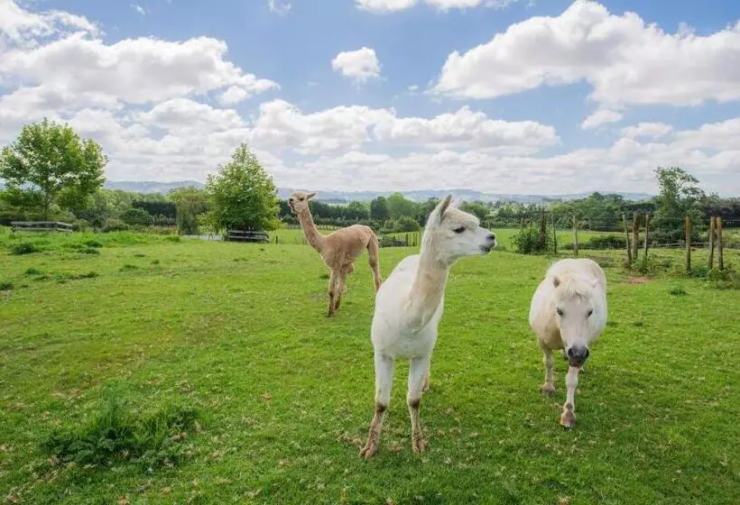 Aamiaismajoitus (B&B) Bycroft Lodge