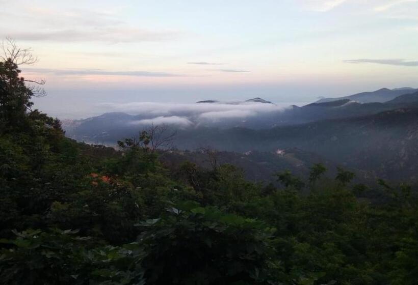 Bed and Breakfast Casa Vacanze L Agrifoglio