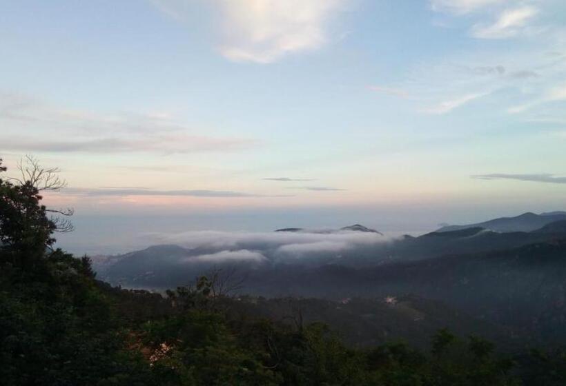 Bed and Breakfast Casa Vacanze L Agrifoglio