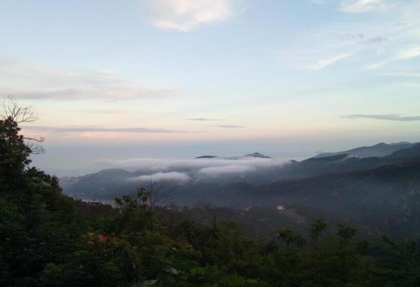 Bed and Breakfast Casa Vacanze L Agrifoglio