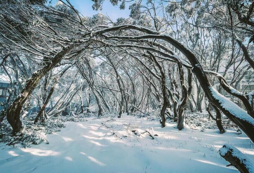 ホテル Ajax Ski Club