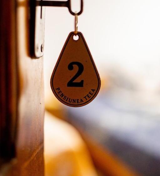 Pensiune Domeniul Stanca