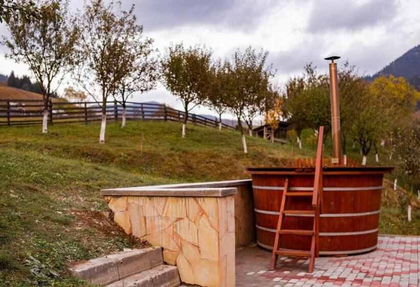 Pensiune Domeniul Stanca