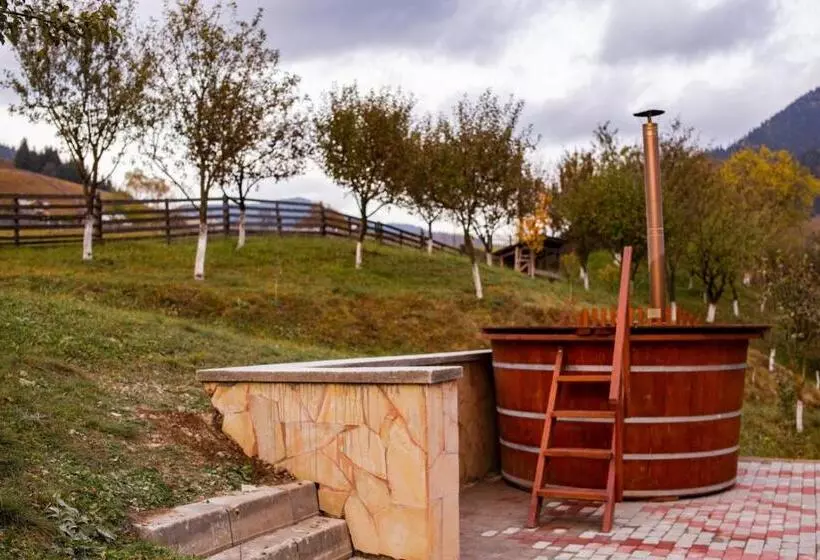 Pensiune Domeniul Stanca