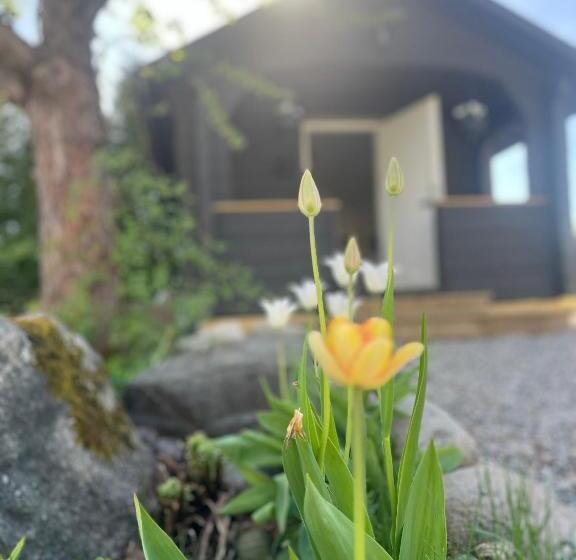 Smedjebackens Pensionat