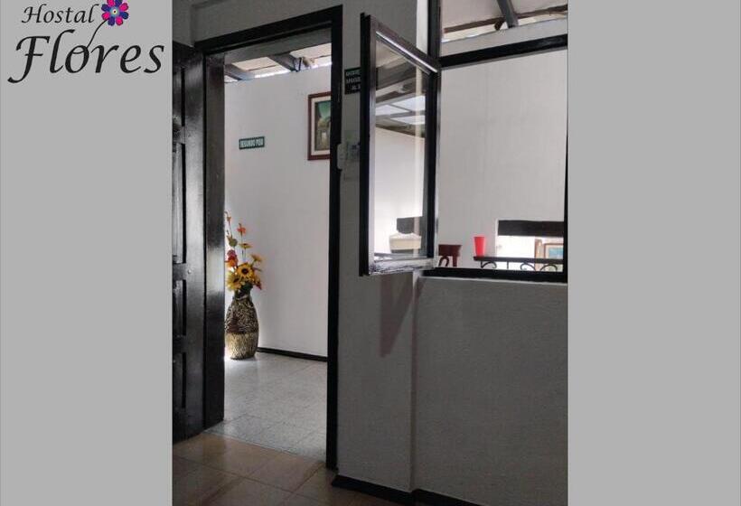 Hostel Hostal Flores