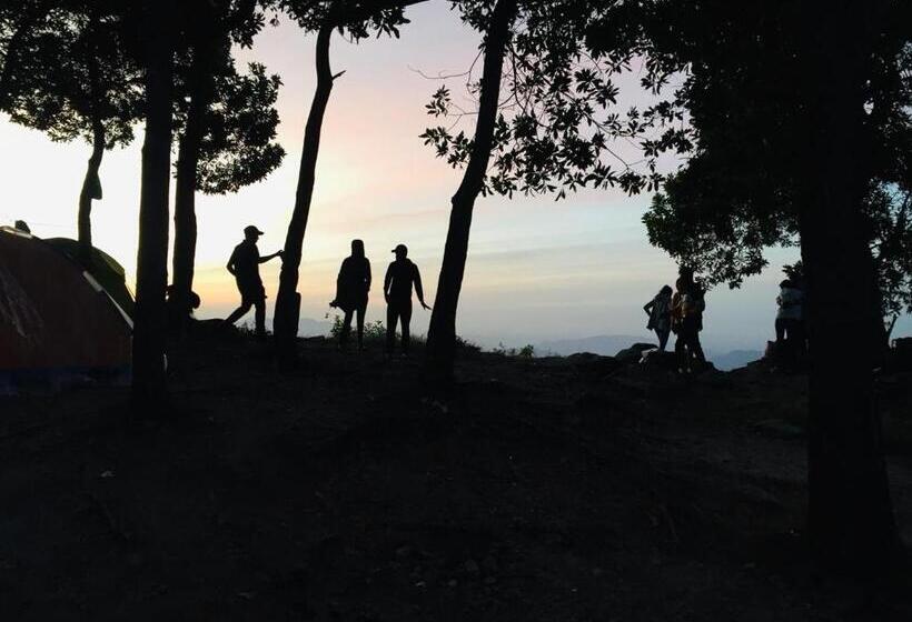 Aamiaismajoitus (B&B) Saddle Cottage