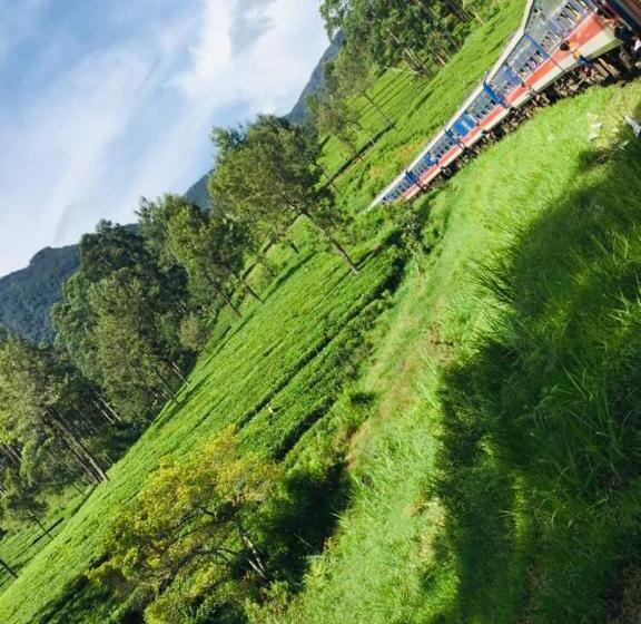 Aamiaismajoitus (B&B) Saddle Cottage