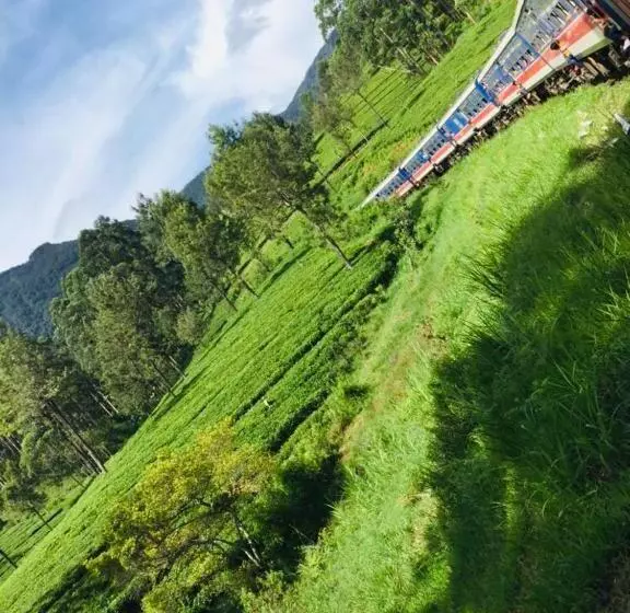 تختخواب و صبحانه Saddle Cottage